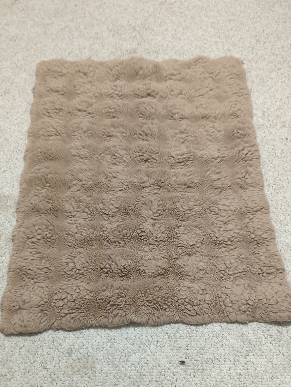 Plush Faux Fur Throw Blanket - Light Brown